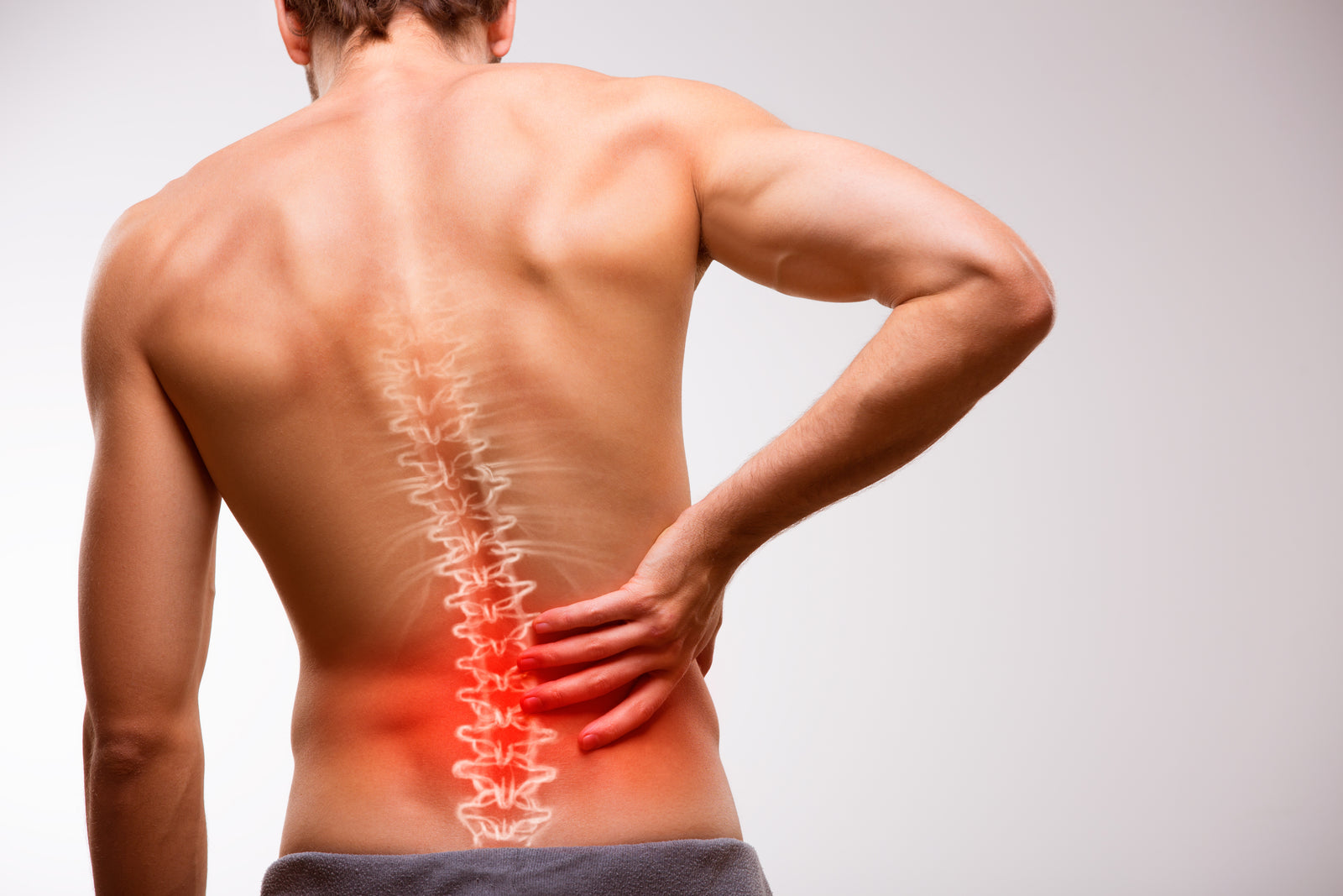 Back Support Advice