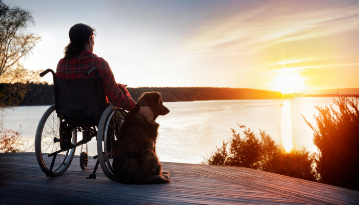What Type of Wheelchair or Travel Chair Might You Need?