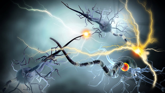 Can Multiple Sclerosis Cause Foot Drop?