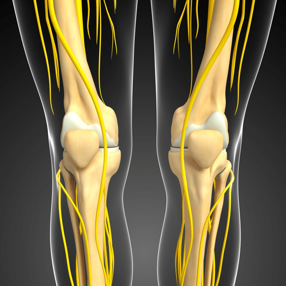 Can a Trapped Peroneal Nerve Cause Foot Drop?