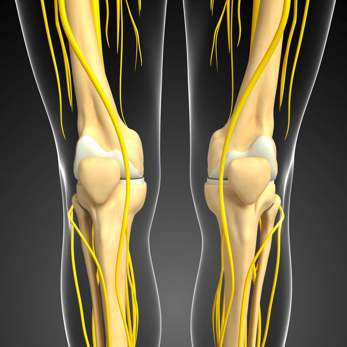 Can a Trapped Peroneal Nerve Cause Foot Drop?