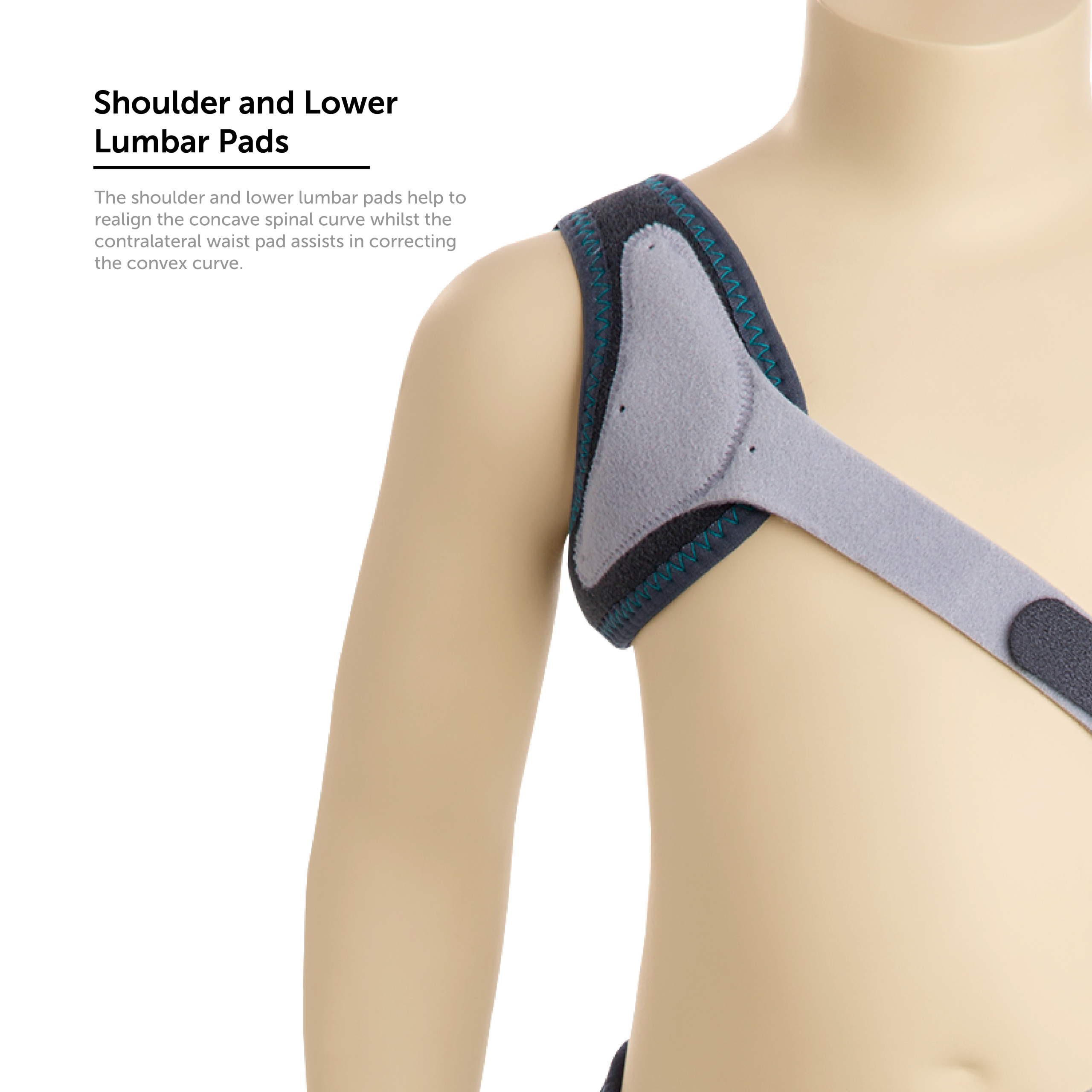 Shoulder and lower lumbar pads