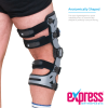 Anatomically Shaped Brace